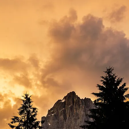 Hotell Roma San Vito di Cadore